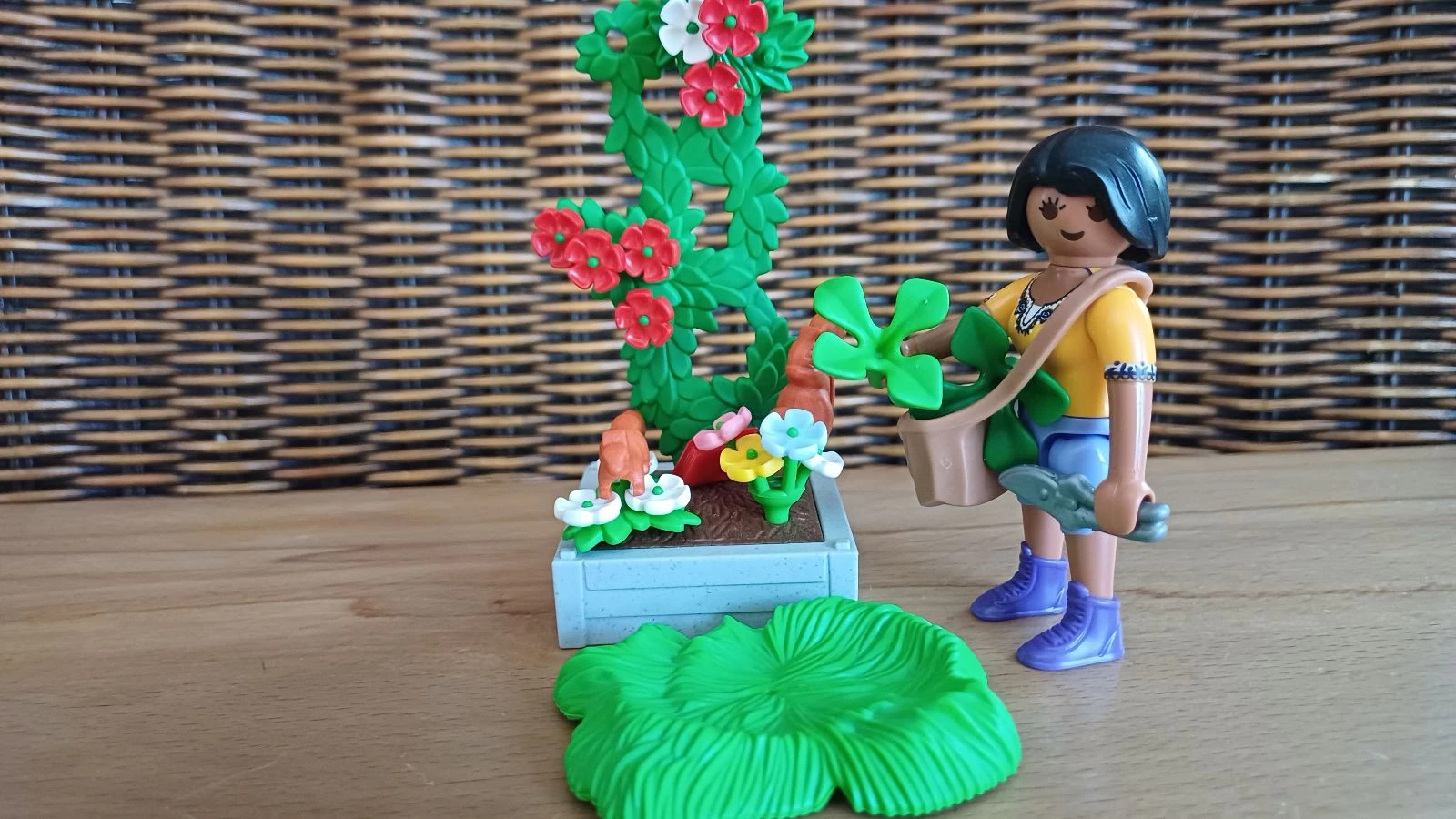 Herboriste playmobil – photo 6